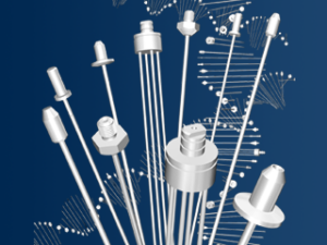 Soolveepritside nõelad