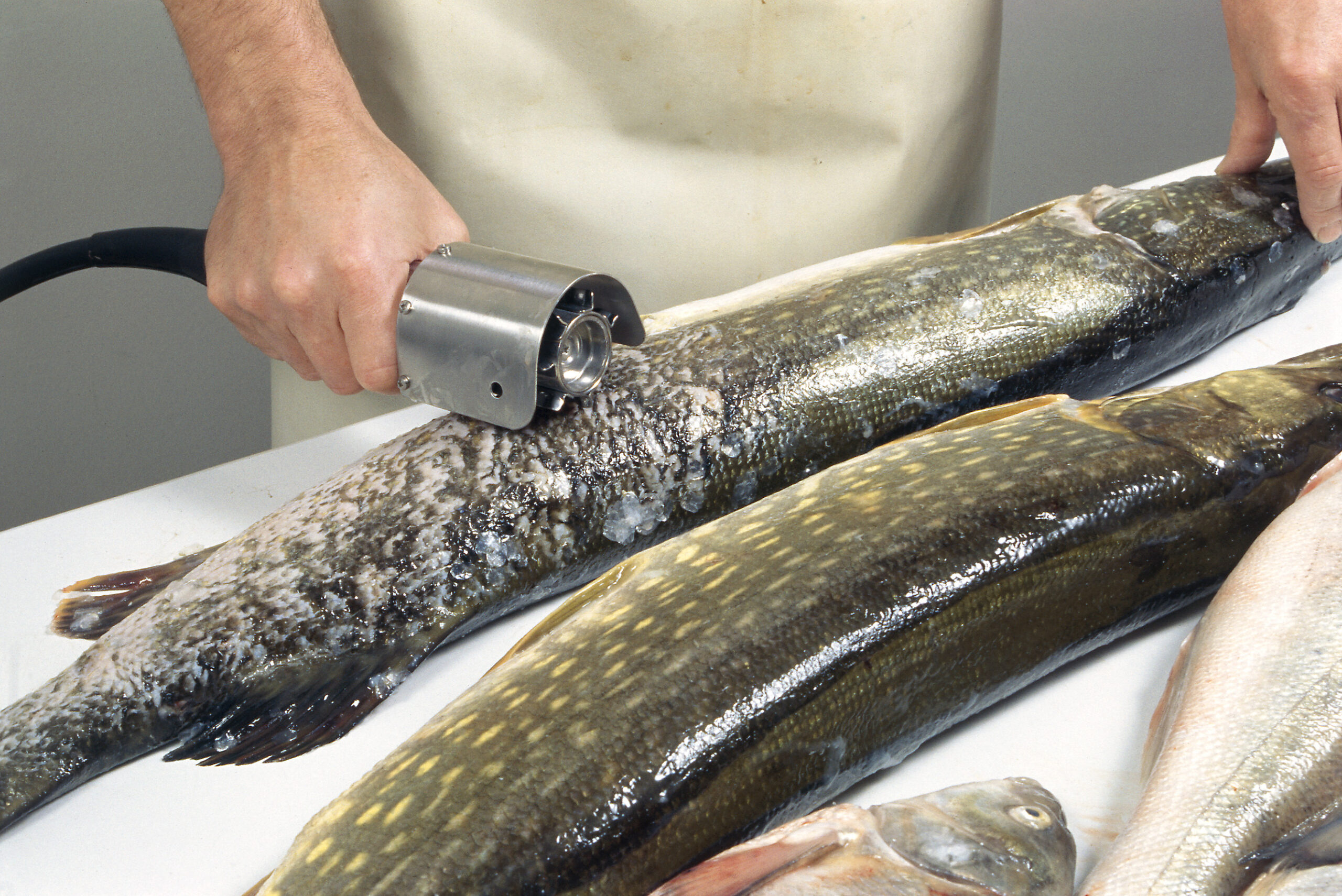 Kalatööstuse seadmed